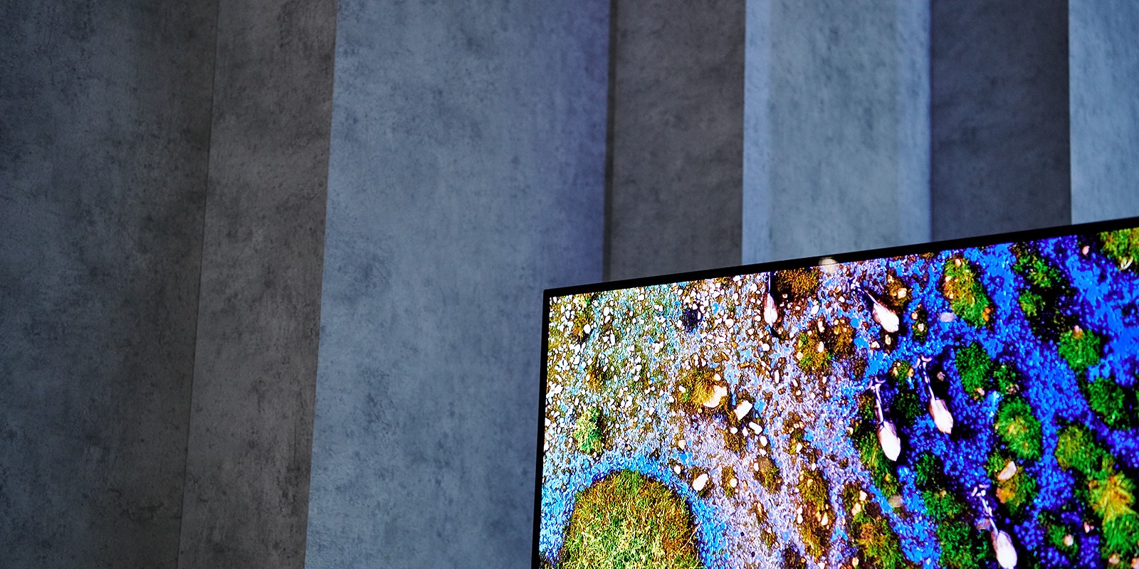 ifa-2019_lg-magazine_lg-8k-tv_sub-img2